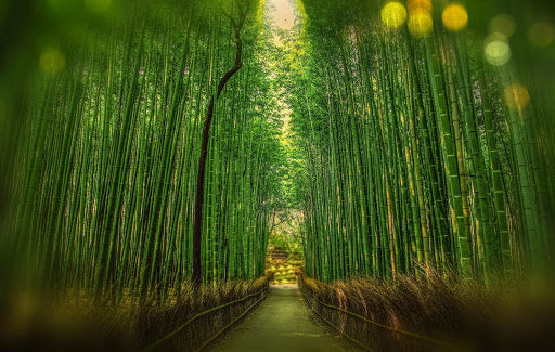 Bamboo Vs. Silk Pillowcase: 6 Reasons You Should Pick Bamboo
